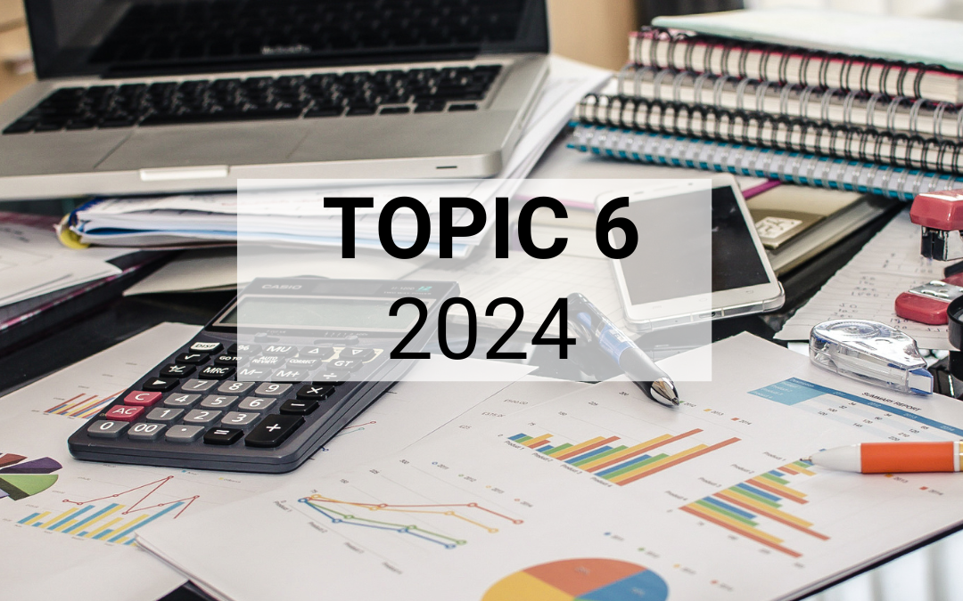 Topic 6 – 2024 – The Eppo and other bodies joining forces