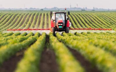 Relazione a conclusione del corso PCTO STEPPO 2024 sulle frodi nell’agricoltura