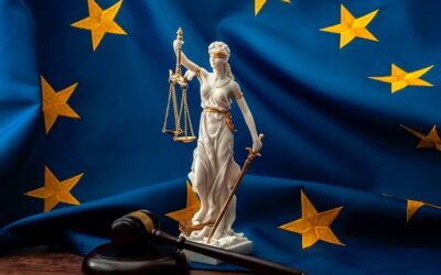 The EPPO Regulation: legal frameworks and jurisdictional conflicts